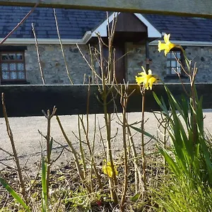 https://the-hill-cottage.galwayhotelsireland.net